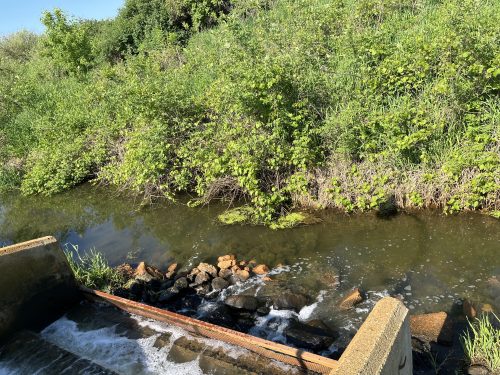 Effluent discharge point to a trout stream